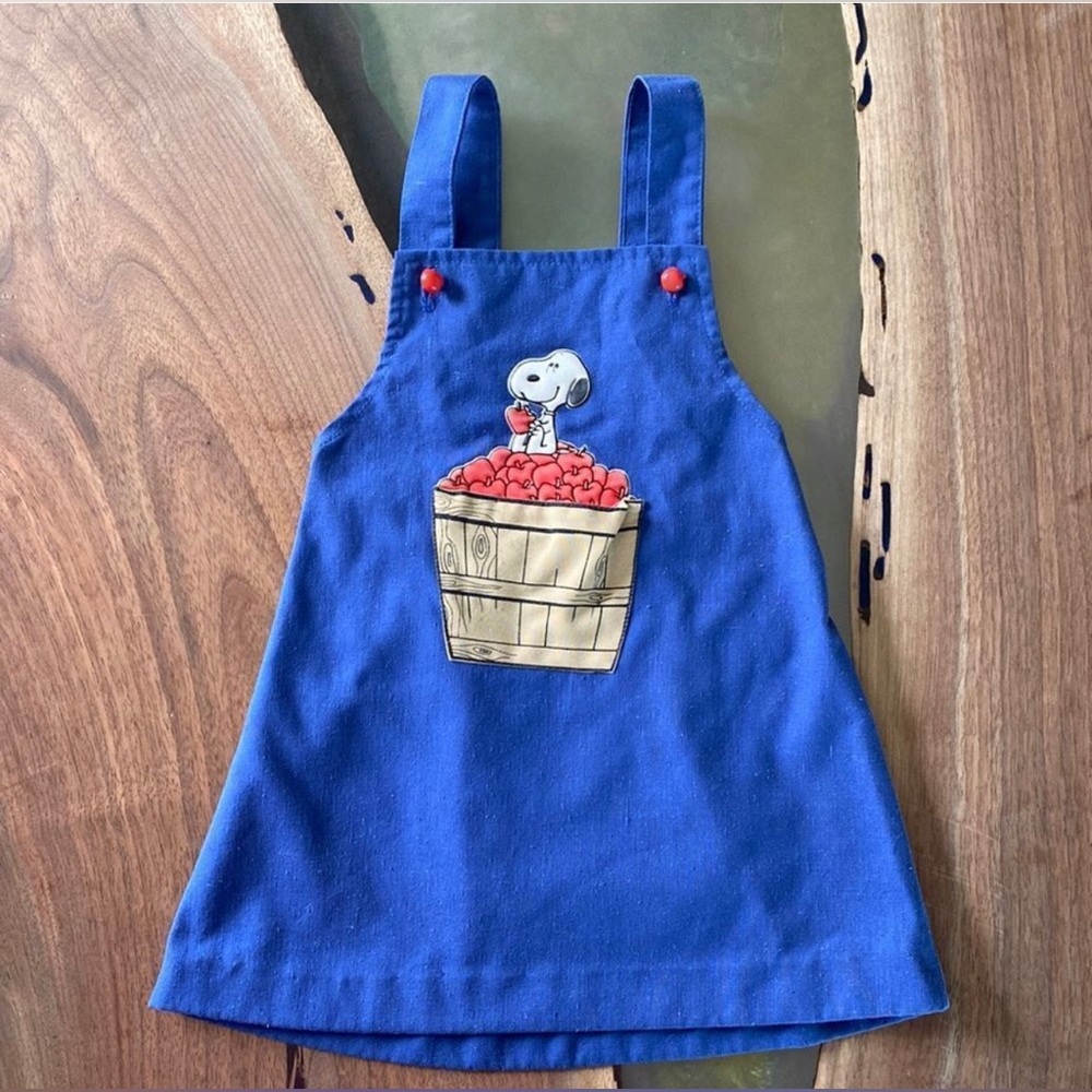 Vintage Peanuts Blue Dress with Snoopy Design